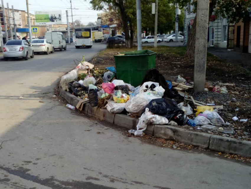 Жильцов домов по улице Чехова  беспокоит  накапливающийся  мусор
