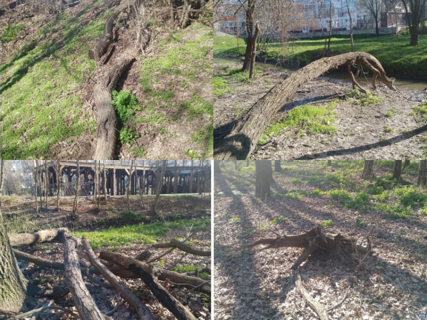 Ветки, корни и завалы: жители «Дубков» оценили результаты мартовского субботника