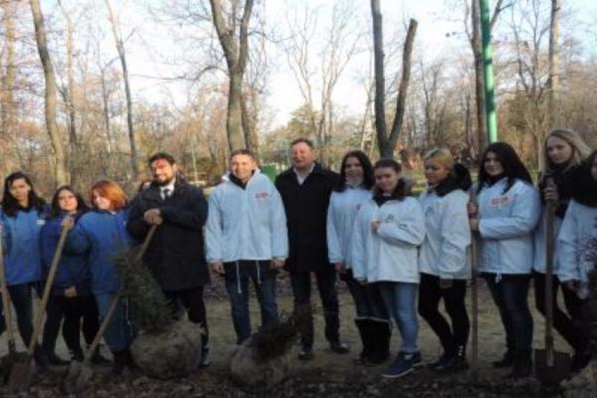 В Таганроге появилась «Аллея Дружбы»