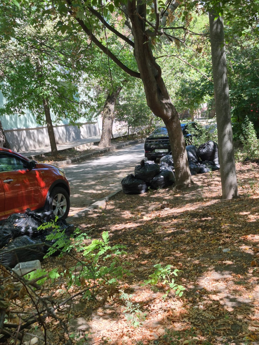 Так и не убрали за собой: кучи мусора на Гарибальди стали памятником безалаберности