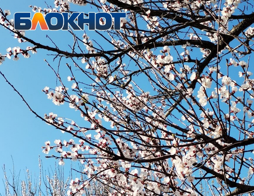 Весна в Таганроге – это сказка