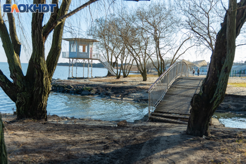 24 февраля — Коровий праздник: почему в этот день нельзя обижать животных и нужно накрывать стол