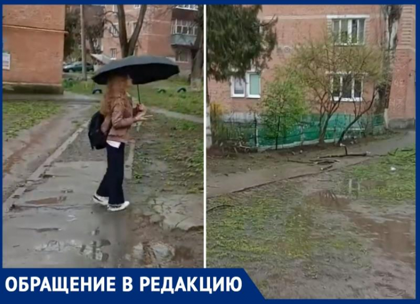 Жители «Дубков» Таганрога переживают за свою жизнь из-за аварийных деревьев 