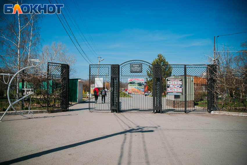 Горожане хотят видеть парк 300-летия Таганрога местом активного и спокойного отдыха одновременно 
