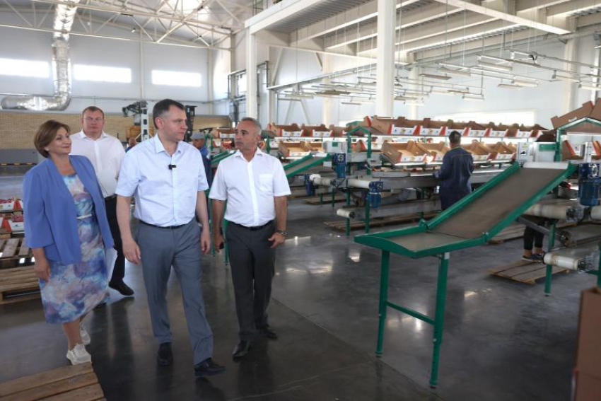 Донские продукты станут доступнее через агроагрегаторы