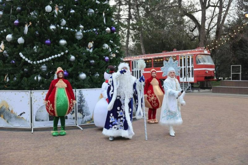 «Ёлка для избранных»: открытие главной новогодней ели в Таганроге вызвало волну критики в соцсетях