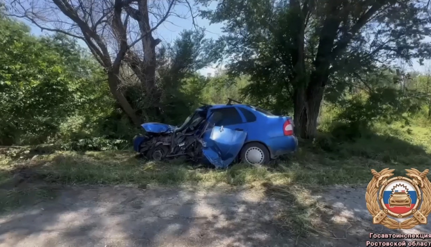 Пенсионер погиб в жуткой аварии под Таганрогом