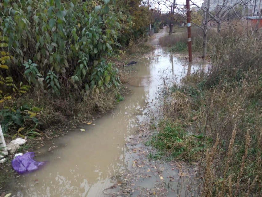 В Таганроге за гаражами  17-го Нового  «можно разводить рыб, вся городская вода там"