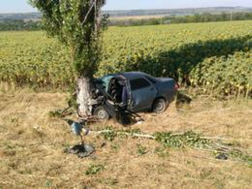 Утром под Таганрогом Lada Priora врезалась в дерево