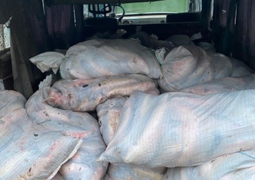 На берегу Таганрогского залива задержали браконьера с уловом на 1,5 тонны 