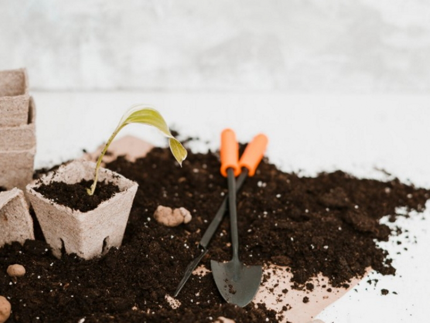 Лунный посевной календарь садовода и огородника с 16 по 28 февраля 2026