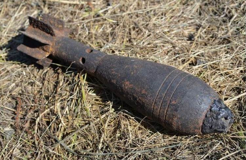 Рядом с Таганрогом при выпасе животных были найдены три 80 мм мины