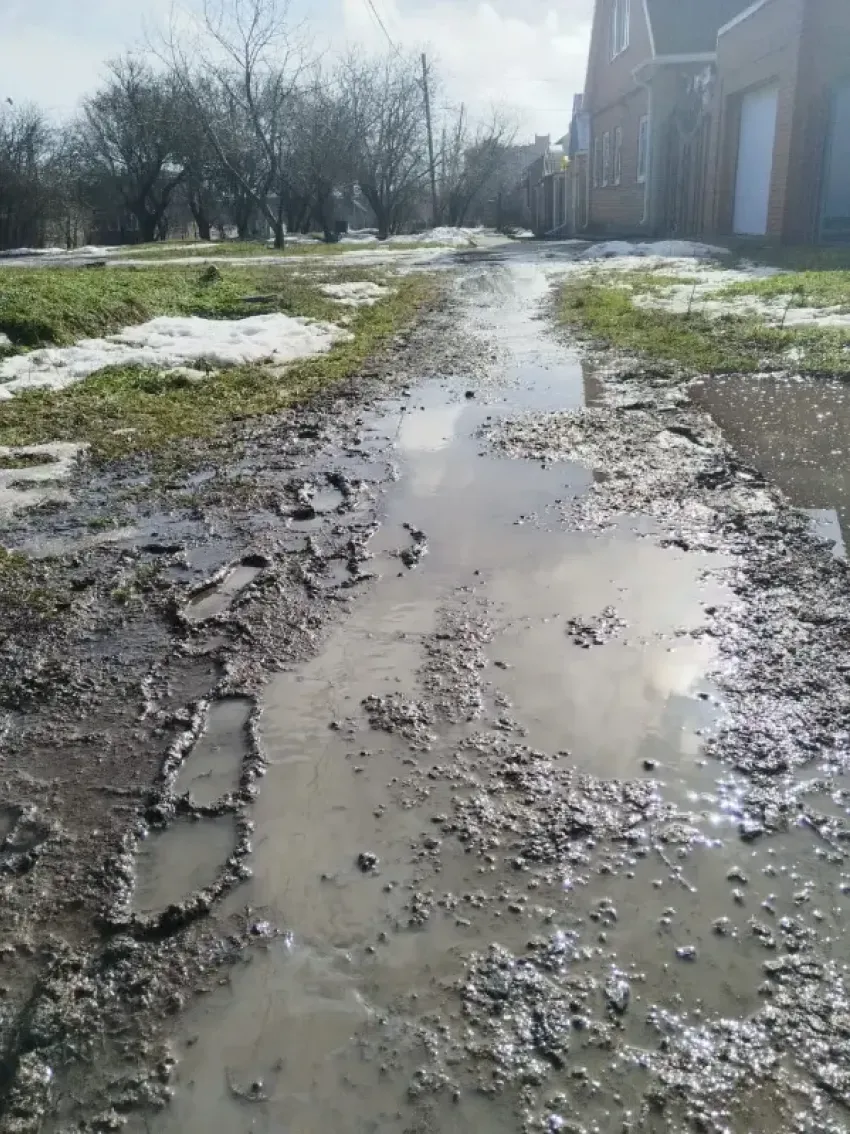 "Куда ты, тропинка, меня завела": таганроженка показала болото вместо тротуаров на Северном