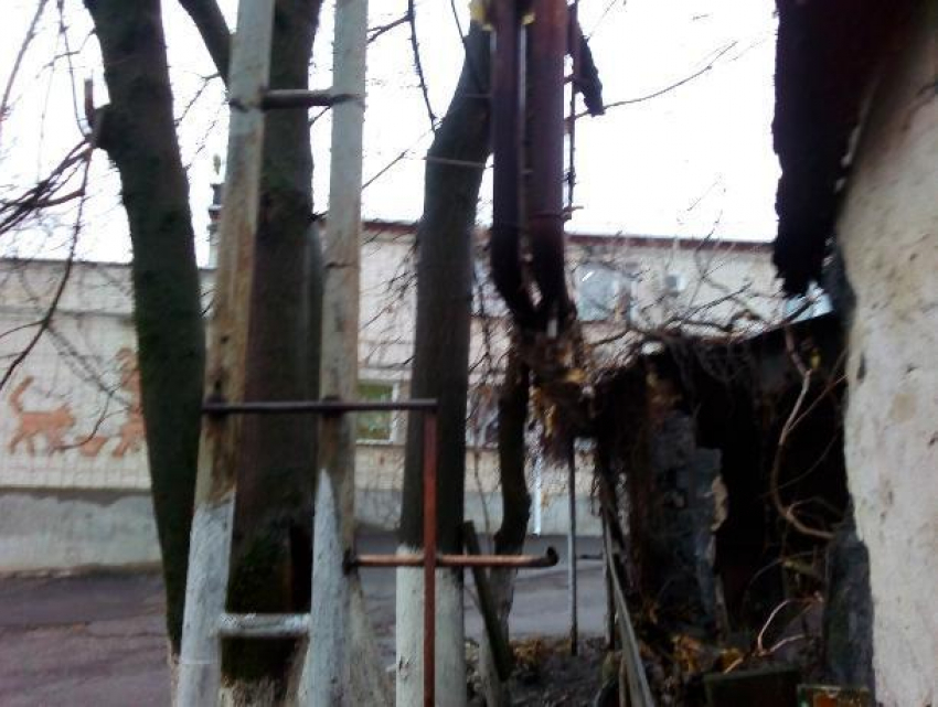 Трубы теплотрассы согревают воздух Таганрога