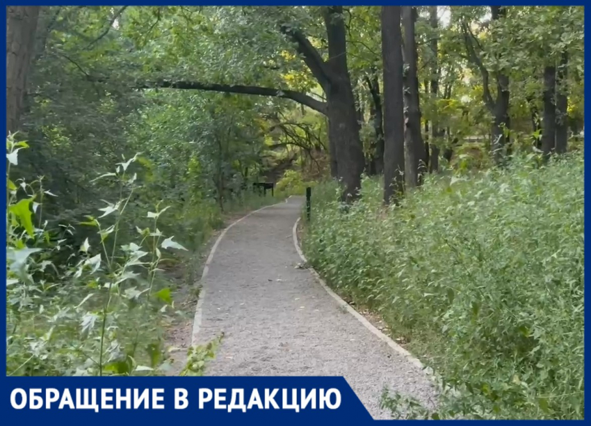 "Заросло по пояс": роща «Дубки» в Таганроге оказалась ненужной