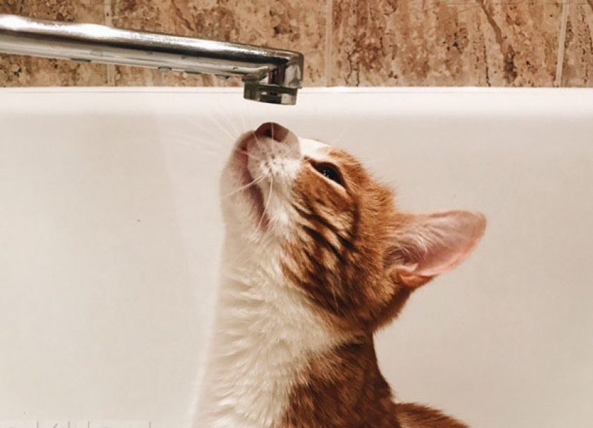 В Таганроге 14 августа ограничено водоснабжение на трех улицах