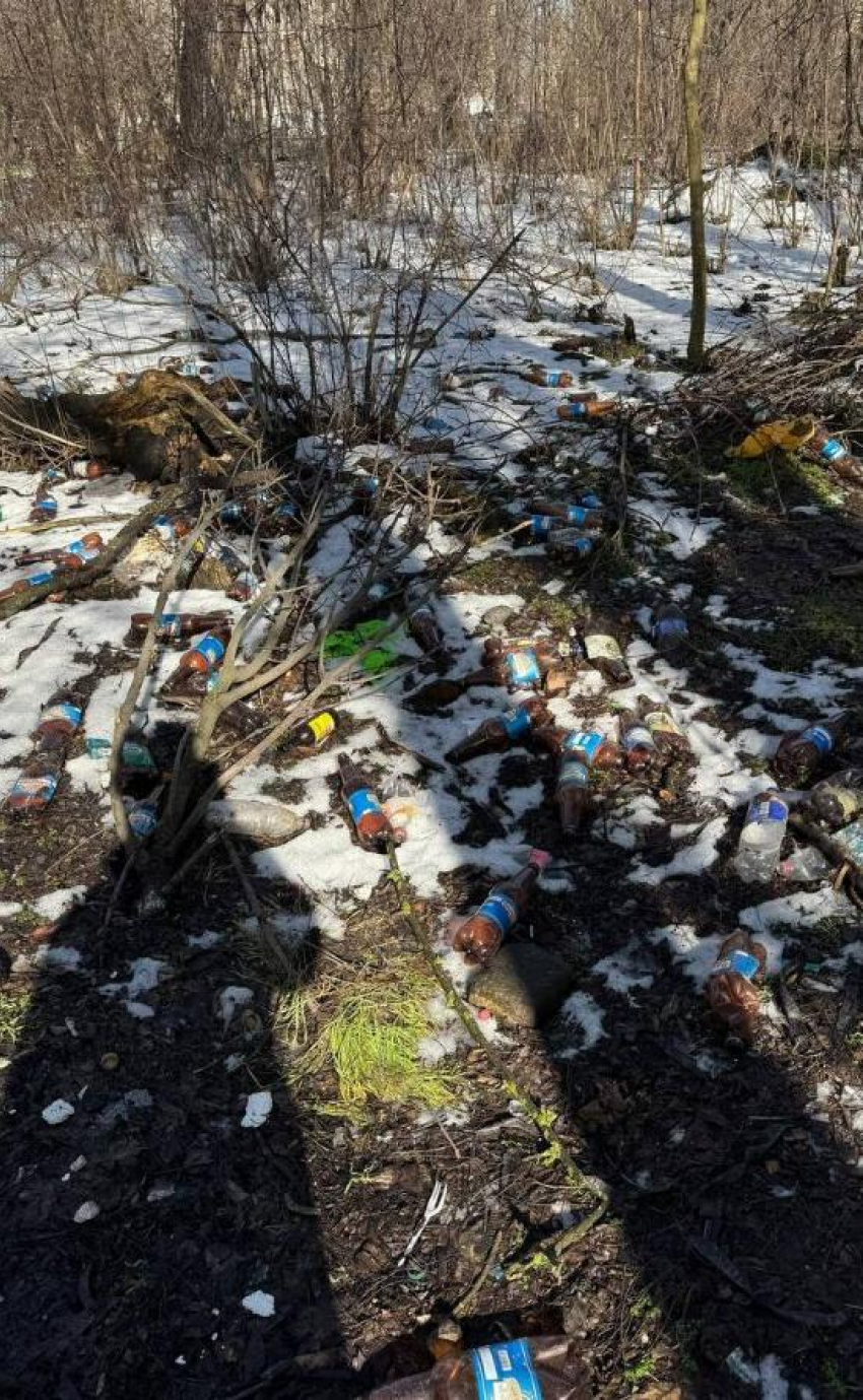 Посадка в Таганроге тонет в мусоре пока власти ищут деньги на уборку