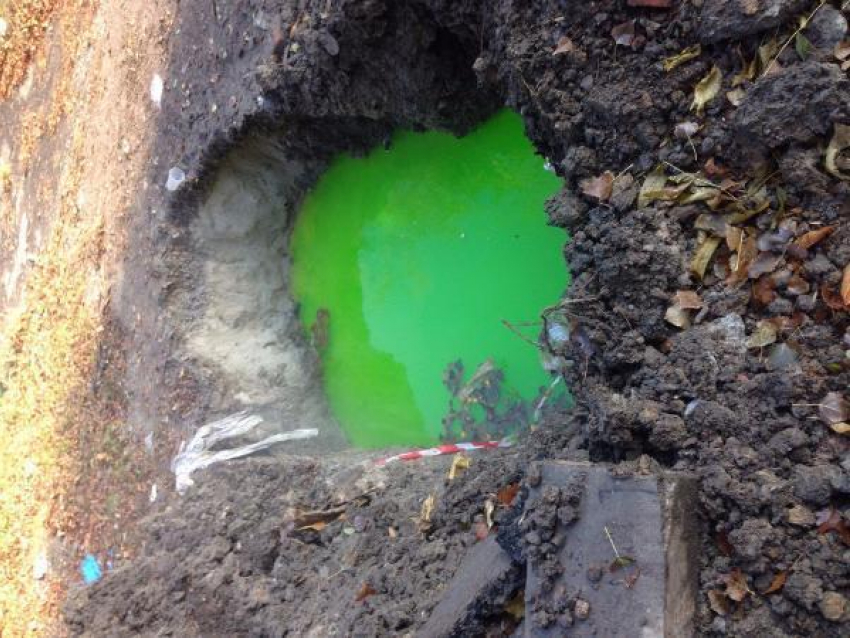 МУП «Водоканал» опроверг информацию о «зеленой» воде в Таганроге