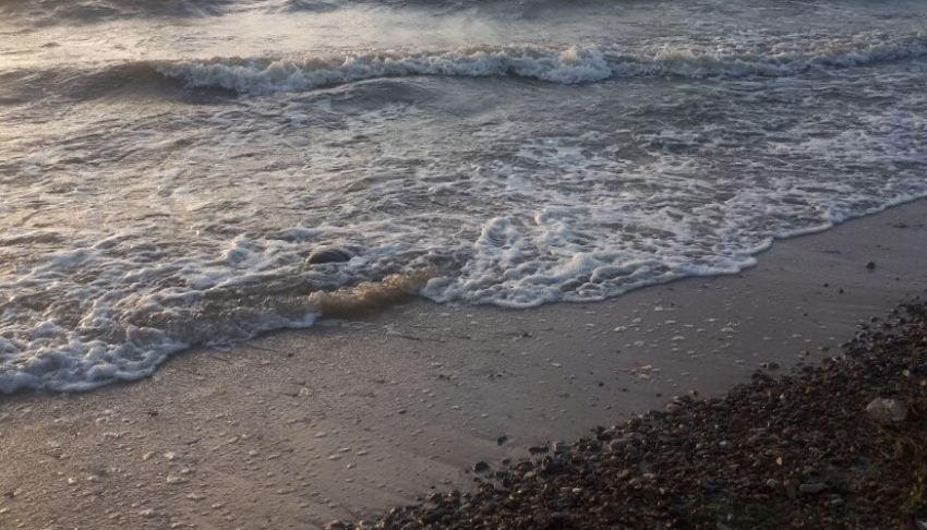 Специалисты объявили о начале заморного периода в Азовском море, в том числе и в Таганрогском заливе