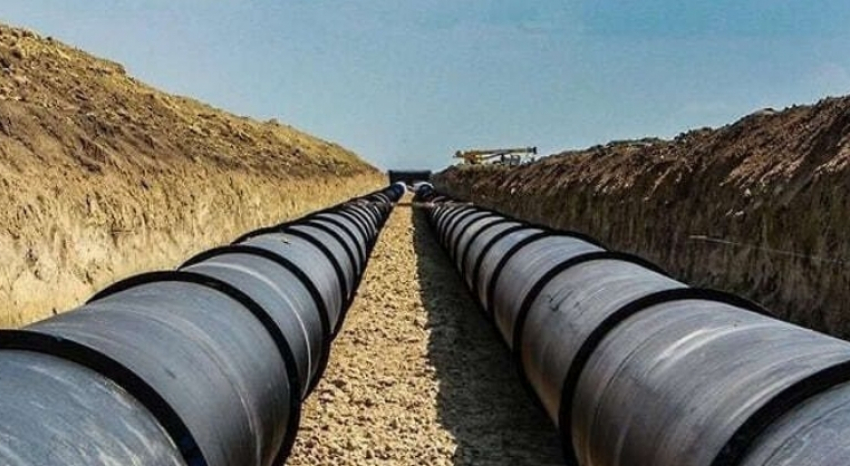 Строительный подрядчик выбрал сохранить природу под Таганрогом, несмотря на большие деньги