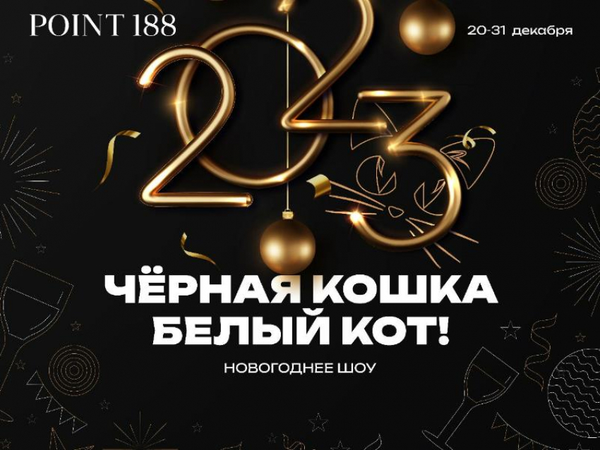 Встречаем год кота в Point188*