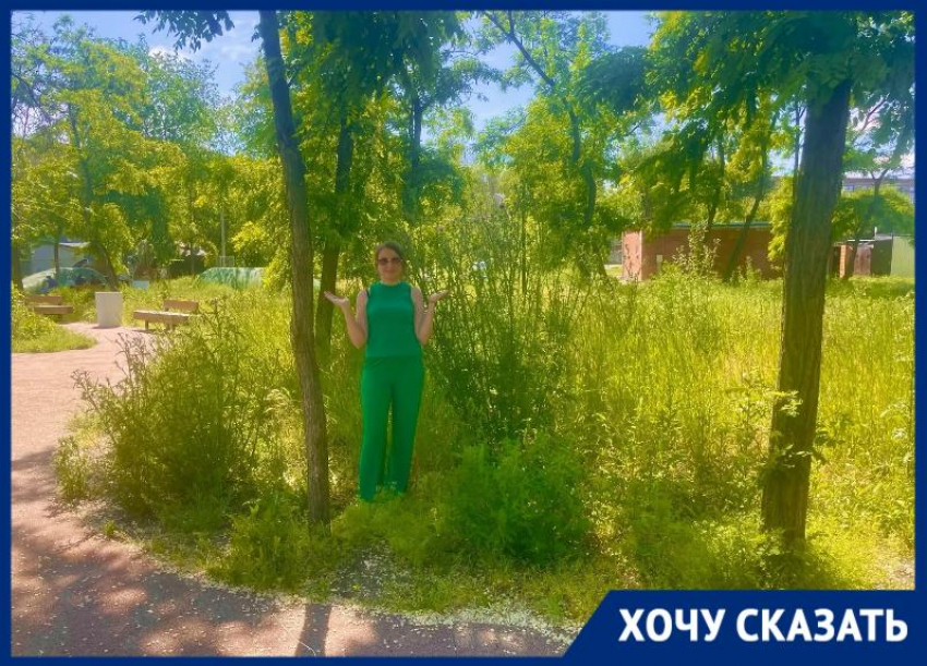  Глава администрации Таганрога публикует фото Пушкинской набережной из параллельной реальности 