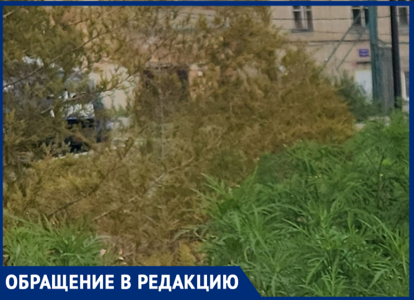 Качели детей могут покалечить: таганрогский сквер на ПМК грозит превратиться в опасный Кораблик-2