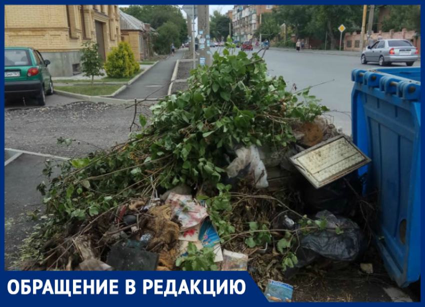 Жители обвинили территориальное управление в создании свалок в Таганроге