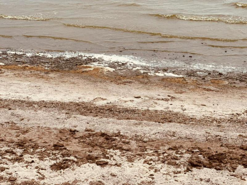 Дождались: в Таганроге озаботились улучшением пляжей