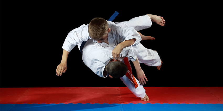 В Ростовской области молодые таганрожцы завоевали шесть медалей по самбо