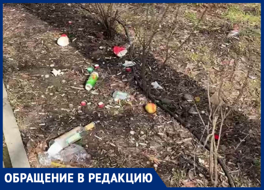 "В гадюшник превратили": невоспитанные гости загадили Северную площадь в Таганроге