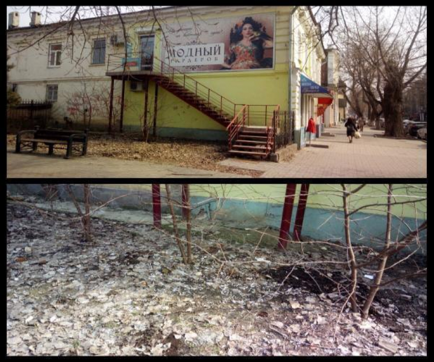 Жители Таганрога поймали злостных нарушительниц экологического баланса 