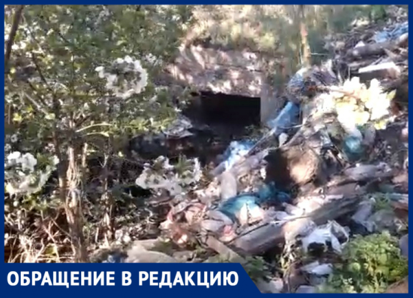 Кто уберет ливневку в Таганроге - туда давно не ступала нога уборщика мусора
