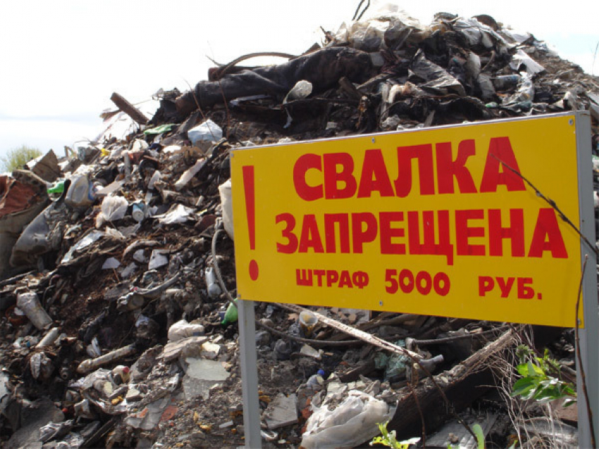Общероссийский народный фронт предложил повысить штрафы за мусор