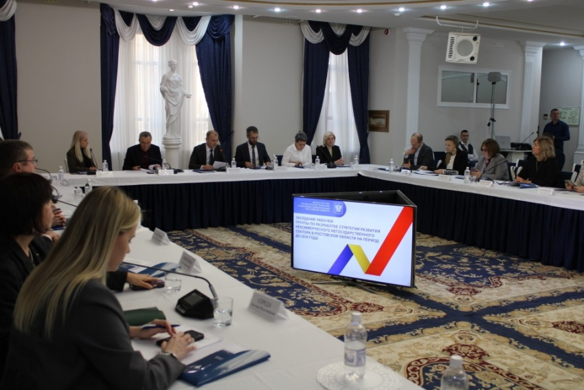 На Дону началось обсуждение единой стратегии развития некоммерческого сектора