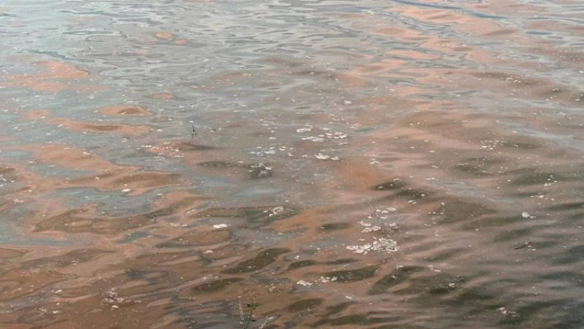Жуткая находка под Таганрогом: рыбак обнаружил труп в реке Миус