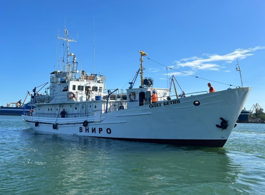 В Азовском море пересчитают всю рыбу и оценят промысловые виды 