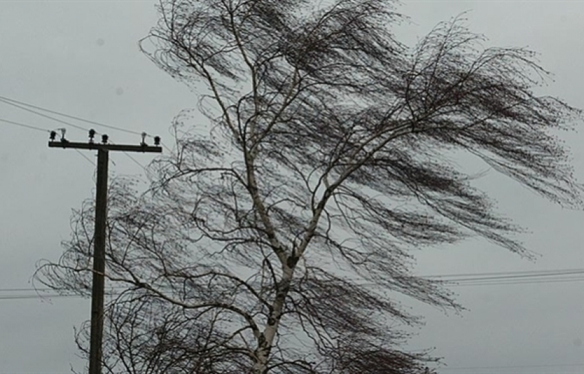 МЧС сообщает о сильных порывах ветра в Таганроге