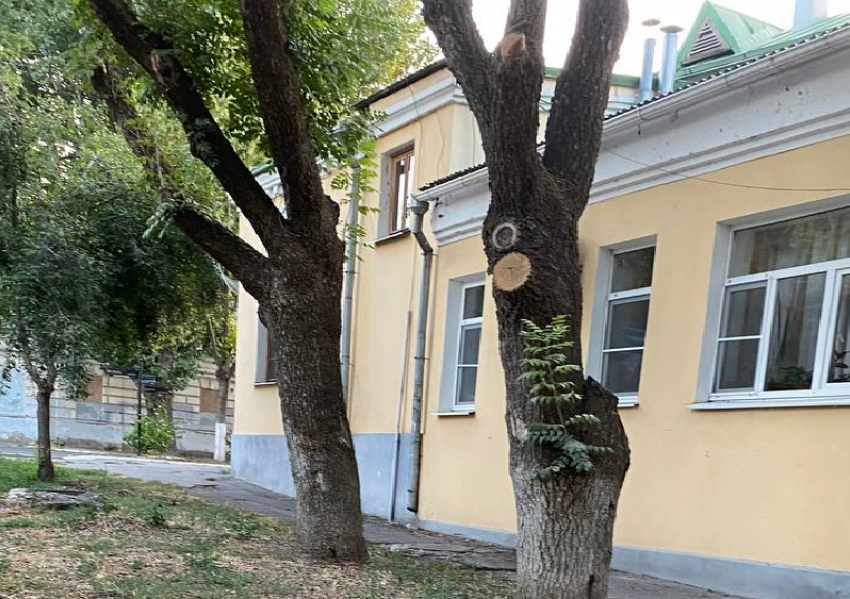 Таганроженка показала свой «туристический маршрут": мимо Дворца Александра, через помойки и заброшки
