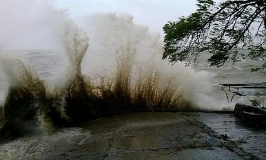 Вода в Таганрогском заливе приближается к критической отметке