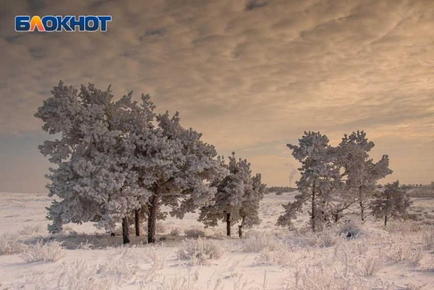 Емельян Зимний зовёт: народные приметы для таганрожцев 21 января 