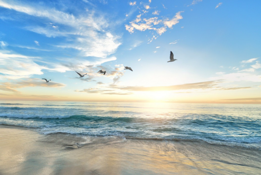 Пыльные бури и умеренная прохлада - майский прогноз погоды на Дону