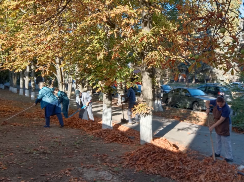 Камбулова подмела Таганрог и пристыдила коммерсантов за его захламление