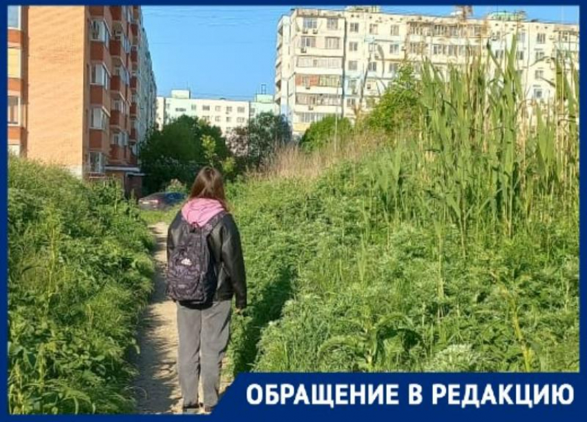 Уже 6 лет таганрожцы не могут дождаться обещанного тротуара около садика