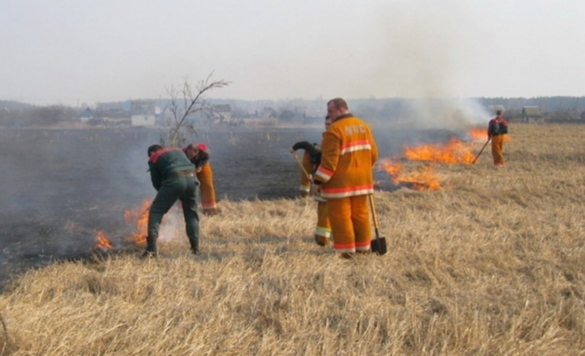 С начала года на Дону зарегистрировано свыше 200 случаев загорания сухой травы и камыша