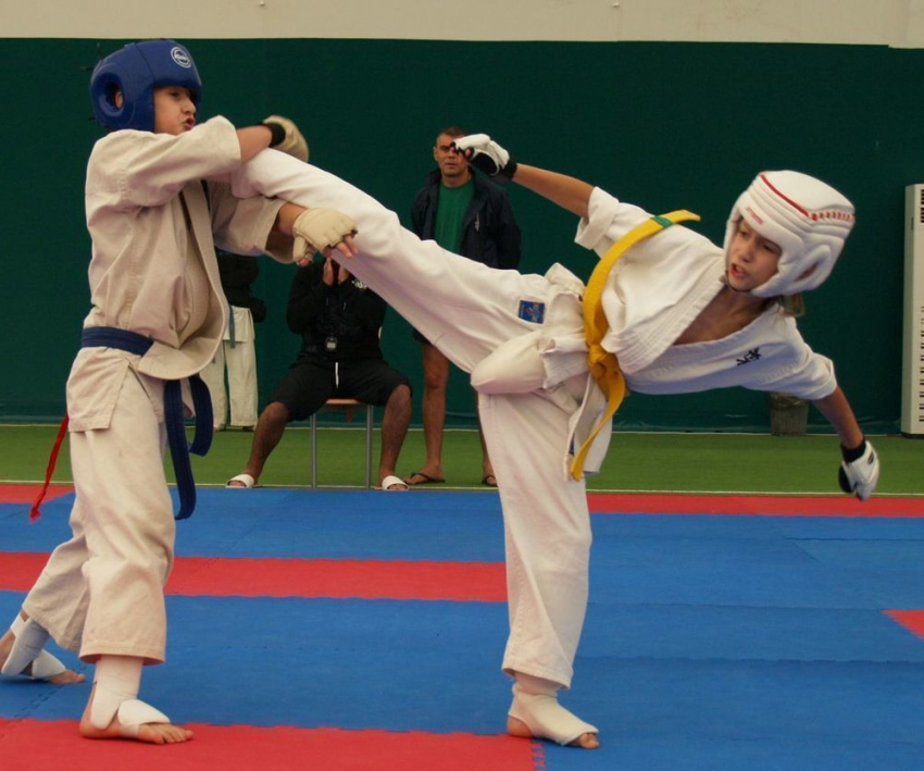 Таганрог принял участие в  турнире по киокушинкай каратэ