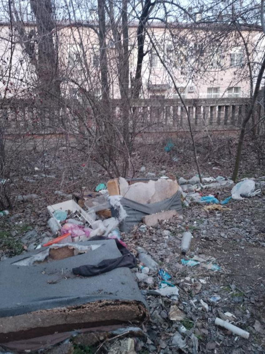 "Ещё и кучи мусора": территория возле музыкальной школы в Таганроге снова неприятно удивила