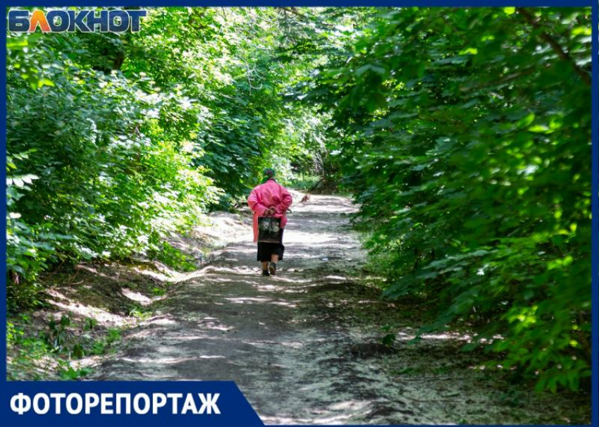 Продолжаем изучать парки и скверы города. На этот раз герой рубрики – Бакинский сквер