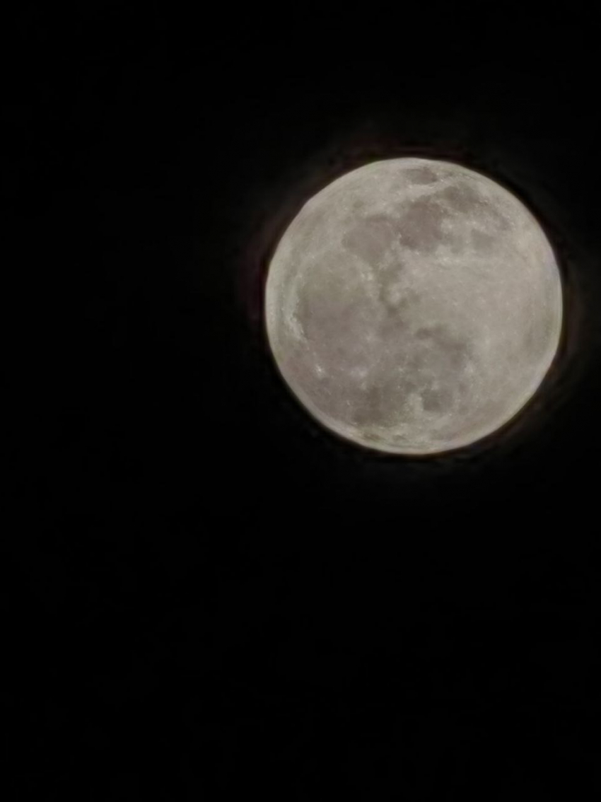 Таганрожцы увидят главное суперлуние года: когда смотреть на «Бобровую Луну»