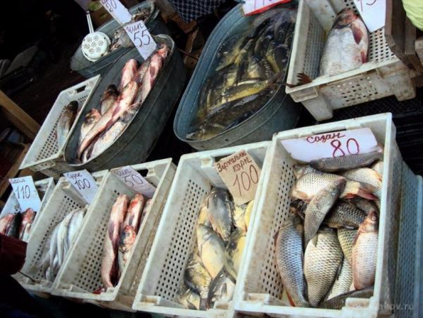 Рыба из Таганрогского залива вызвала большие подозрения у донских властей 